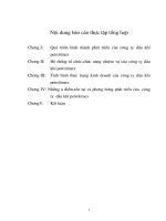 Những ưu điểm,tồn tại và phương hướng phát triển của  công ty  dầu khí petrolimex 