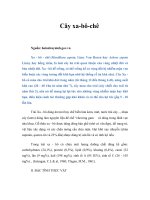 Tài liệu Cây xa-bô-chê pptx