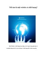 Tài liệu Thế nào là một website có chất lượng? ppt