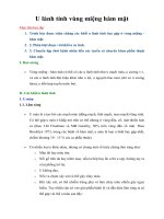 Tài liệu U lành tính vùng miệng hàm mặt doc