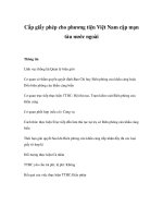 Tài liệu Cấp giấy phép cho phương tiện Việt Nam cặp mạn tàu nước ngoài ppt