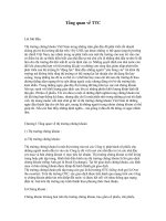 Tài liệu Tổng quan về TTC pdf