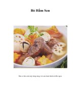 Tài liệu Bò Hầm Sen pptx
