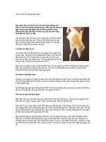 Tài liệu Tôi có thể trở thành lãnh đạo? docx