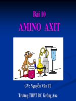 Tài liệu Bài 10: Amino axit ppt