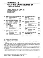Tài liệu WHAT THE LAW REQUIRES OF THE ENGINEER doc