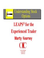 Tài liệu M Kearney - Powerful Techniques For Options Trading Success(pdf) ppt