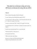 Tài liệu Thẩm định báo cáo đánh giá tác động môi trường (ĐTM), báo cáo đánh giá môi trường chiến lược ppt