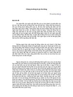 Tài liệu Chúng ta dùng từ gì cho đúng ppt