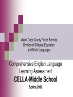 Tài liệu Comprehensive English Language Learning Assessment ppt