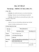 Tài liệu Kỹ thuật - TRỒNG CÂY RAU, HOA (T1) docx