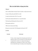 Tài liệu Báo cáo tình hình sử dụng hoá đơn docx