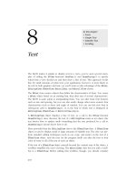 Tài liệu Programming the Be Operating System-Chapter 8: Text ppt