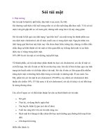 Tài liệu Giáo trình Sỏi túi mật docx