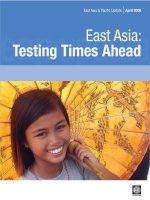 Tài liệu Bản báo cáo cùa World Bank về tình hình Đông Nam Á tháng 4 năm 2008 ppt