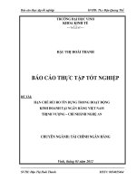 LUẬN VĂN HẠN CHẾ RỦI RO TÍN DỤNG TRONG HOẠT ĐỘNG KINH DOANH TẠI NGÂN HÀNG VIỆT NAM THỊNH VƯỢNG – CHI NHÁNH NGHỆ AN