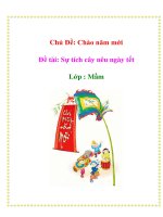 Tài liệu Chủ Đề: Chào năm mới - Đề tài: Sự tích cây nêu ngày tết - Lớp : Mầm pptx