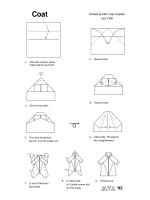 Tài liệu Nghệ thuật xếp hình: coat pdf