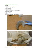 Thử làm tôm xốt kiểu mới thơm ngon 