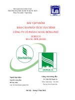 Phân tích tài chính công ty cổ phần cao su Đồng Phú