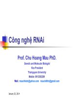 Tài liệu Công nghệ RNAi ppt