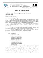 Tài liệu BÁO CÁO THƯỜNG NIÊN 2008 của Công ty CP Thương mại XNK Thủ Đức docx