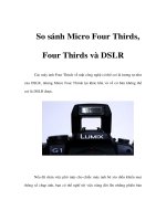 Tài liệu So sánh Micro Four Thirds, Four Thirds và DSLR pptx