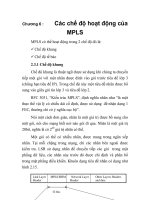 Tài liệu ĐỒ ÁN THIẾT KẾ CÔNG NGHỆ CHUYỂN MẠCH NHÃN ĐA GIAO THỨC, chương 6 ppt