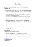 Tài liệu Giáo trình Abces Gan docx