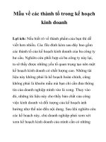 Tài liệu Mẫu về các thành tố trong kế hoạch kinh doanh doc