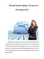 Tài liệu Thế giới doanh nghiệp: Nữ quản trị viên..đụng trần? ppt