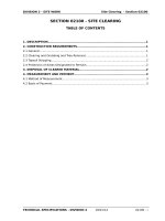 Tài liệu SECTION 02100 SITE CLEARING doc