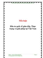 Đầu tư quốc tế gián tiếp. Thực trạng và giải pháp tại Việt Nam