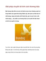 Tài liệu Giải pháp chuyển tải tính cách thương hiệu pdf