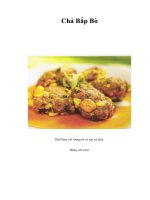 Tài liệu Chả Bắp Bò doc