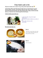 Tài liệu Cháo bánh canh cá lóc doc