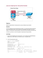 Tài liệu Spanning-Tree - Root and Port Priorities pptx