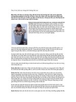 Tài liệu Duy trì sự tích cực trong môi trường tiêu cực docx