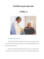 Tài liệu Tai biến mạch máu não ( Phần 1) pdf
