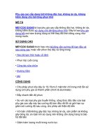 Tài liệu Phụ gia cao cấp dạng bột không độc hại docx