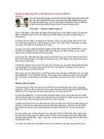 Tài liệu Nợ xấu của ngân hàng: Khó có thể đánh giá mức độ nợ qua giấy tờ pdf