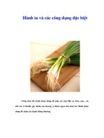 Tài liệu Hành ta và các công dụng đặc biệt pdf