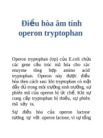 Tài liệu Điều hòa âm tính operon tryptophan pdf