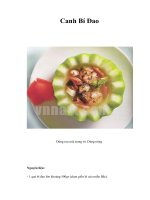 Tài liệu Canh Bí Đao ppt
