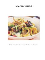 Tài liệu Mực Xào Vải Khô pdf