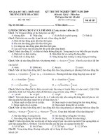 Tài liệu Đề thi thử tốt nghiệp THPT Hoa Châu ppt