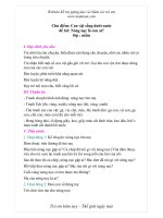 Tài liệu nòngnoclaai pdf