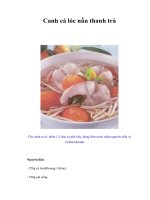 Tài liệu Canh cá lóc nấu thanh trà doc