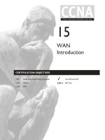 Tài liệu WAN Introduction ppt