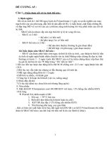 Tài liệu Đề cương A5 ppt